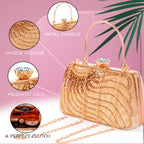 A.E Designer Embroidered Golden Bridal Clutch for Women | Traditional