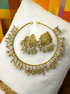 Elegant Punjabi Necklace with Earrings