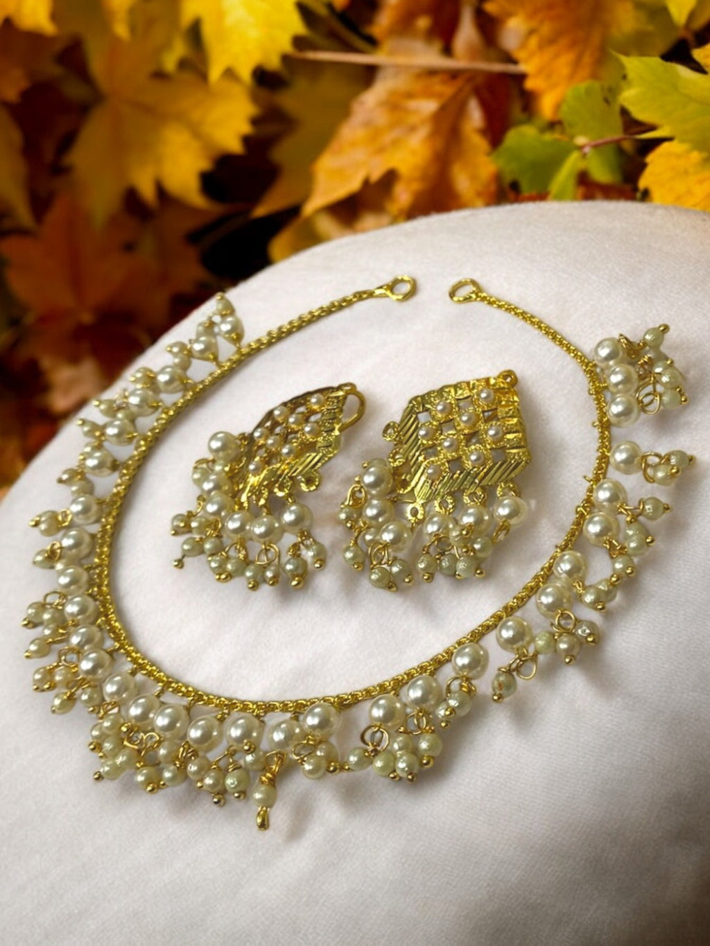 Elegant Punjabi Necklace with Earrings