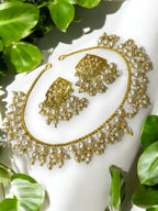 Elegant Punjabi Necklace with Earrings